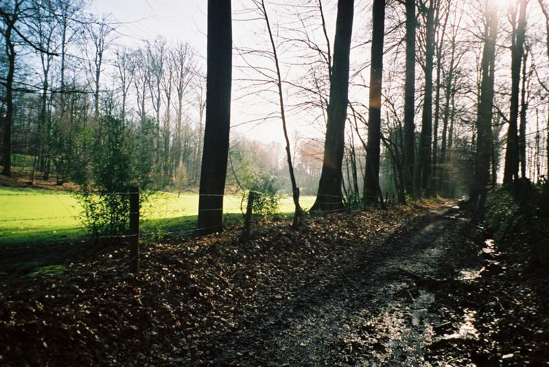 © gregordirven.be - 2007