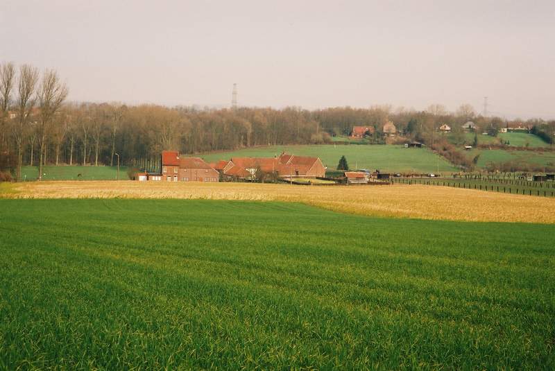 © gregordirven.be - 2007