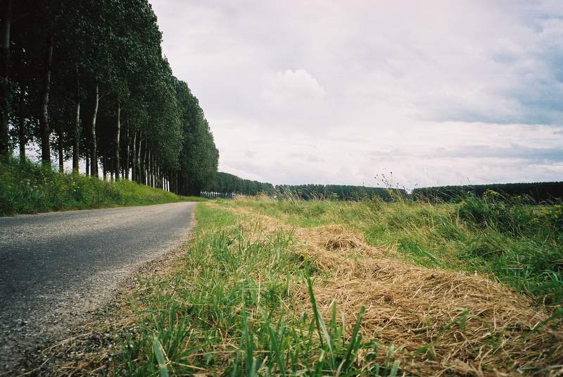 © gregordirven.be - 2007