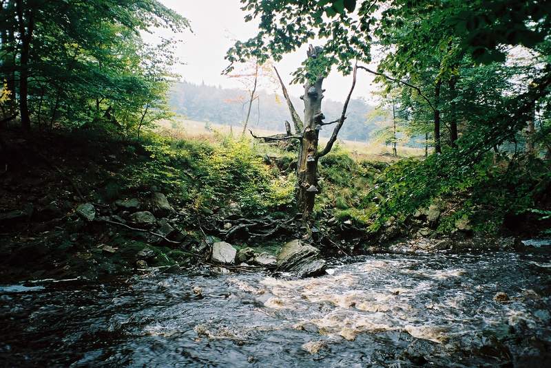 © gregordirven.be - 2007