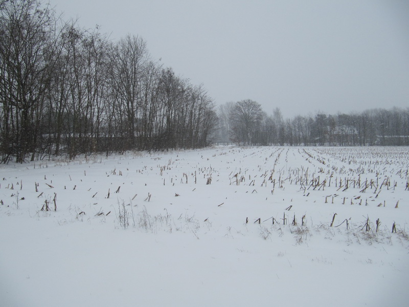 © gregordirven.be - 2009