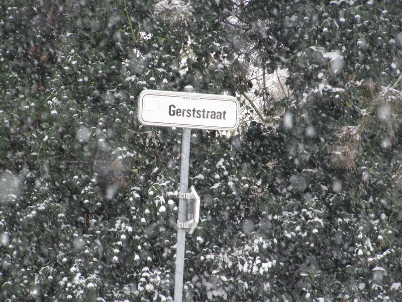 © gregordirven.be - 2009