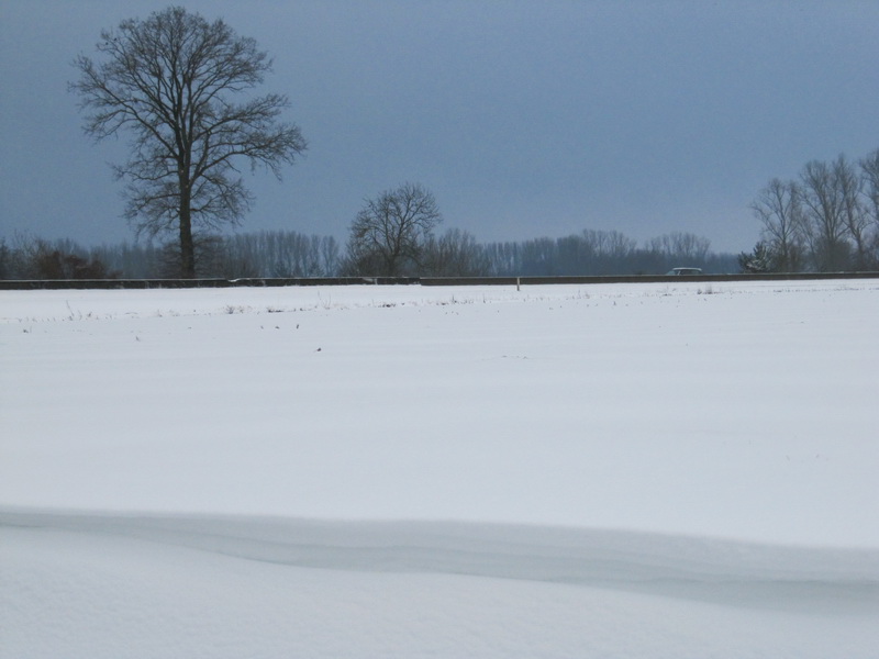 © gregordirven.be - 2009