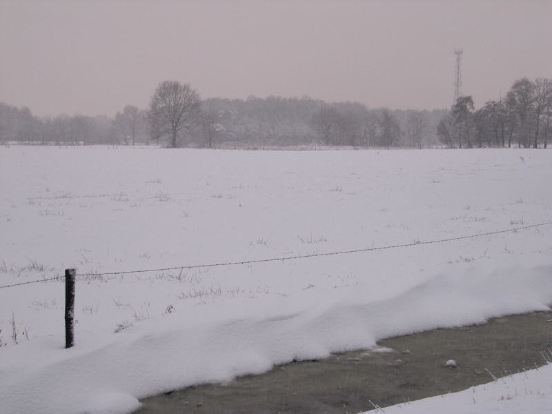 © gregordirven.be - 2009