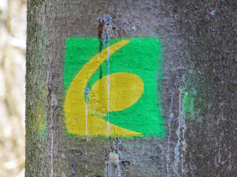 © gregordirven.be - 2010