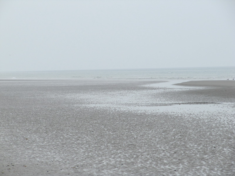 © gregordirven.be - 2010