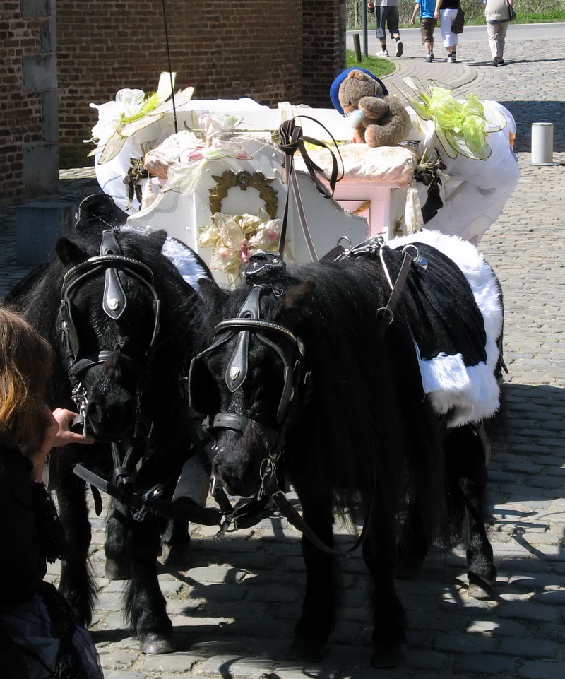 © sippels.be - 2010