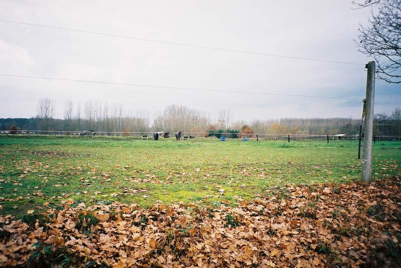 © gregordirven.be & sippels.be - 2007