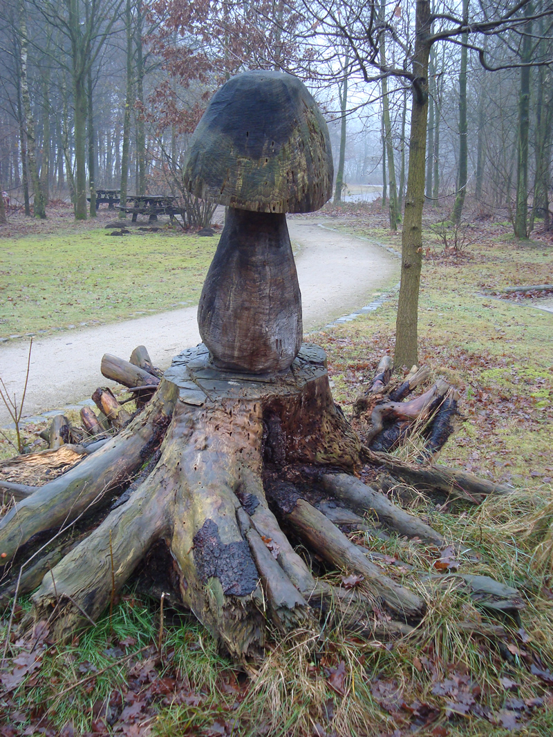 © gregordirven.be & sippels.be - 2008